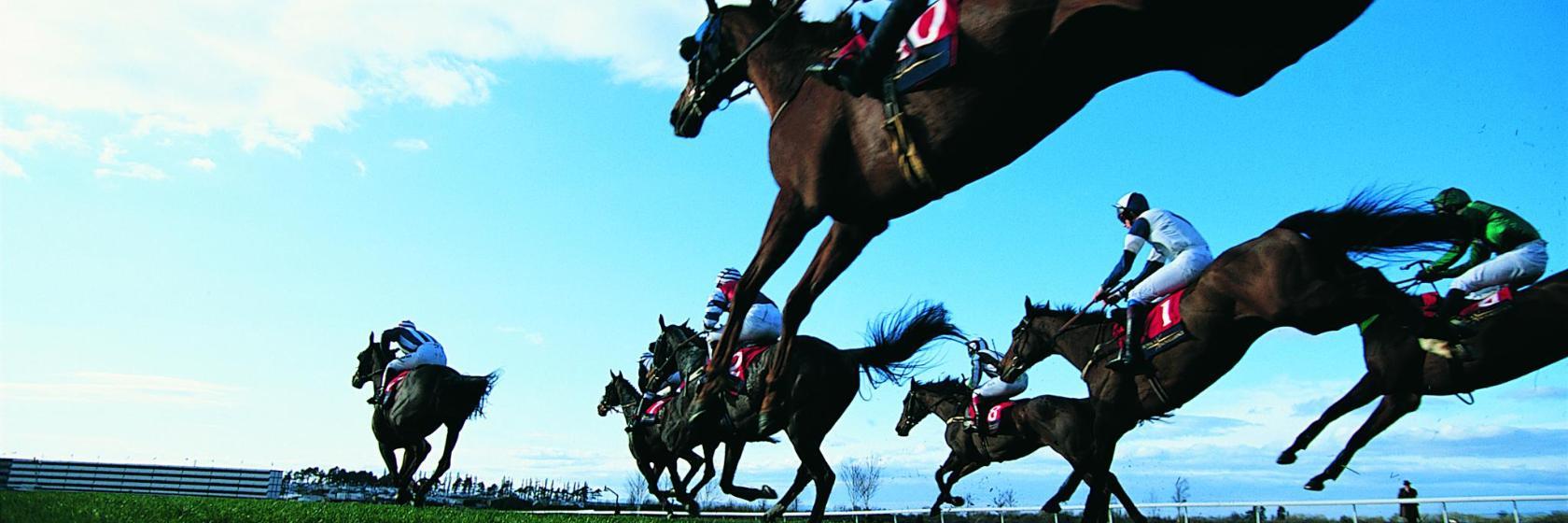 Golf et club équestre Nad Al Sheba